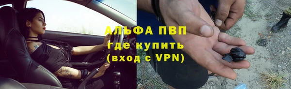 экстази Бородино