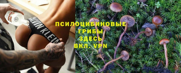 СК Бронницы