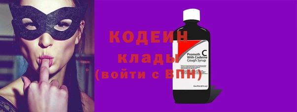 СК Бронницы