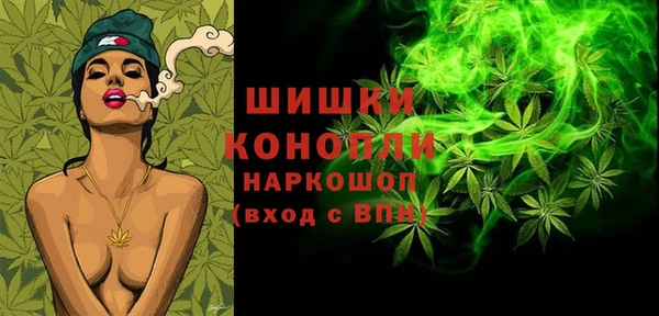 СК Бронницы