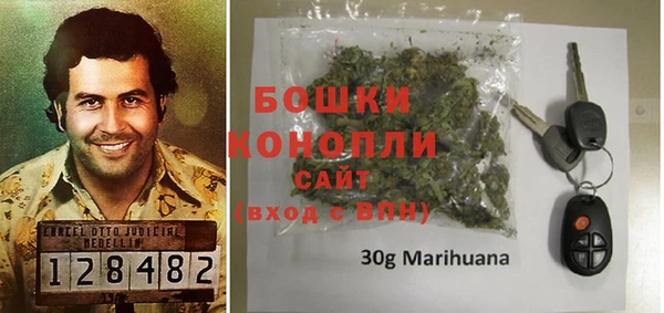 СК Бронницы