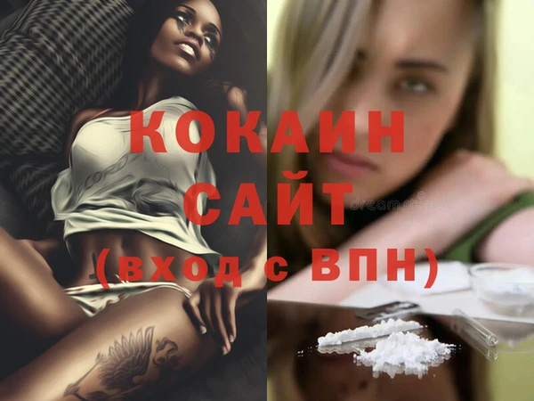 СК Бронницы