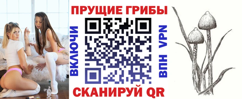 где купить наркоту  Медвежьегорск  Галлюциногенные грибы Cubensis 